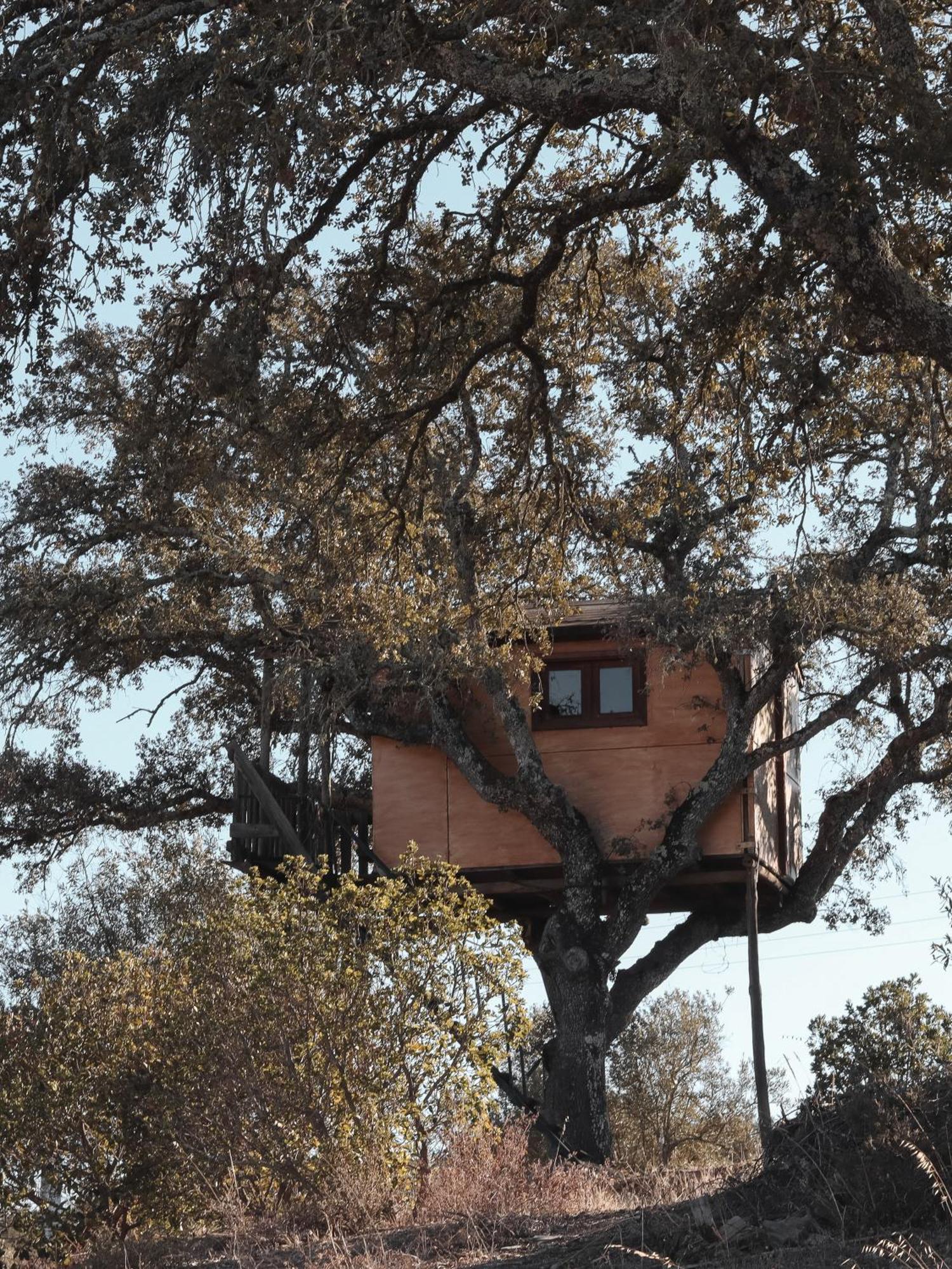 הוילה Almodôvar Corvatos Casas Do Monte מראה חיצוני תמונה